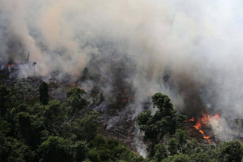 The Amazon Rainforest Is On Fire And The Smoke Has Blocked Out The Sun