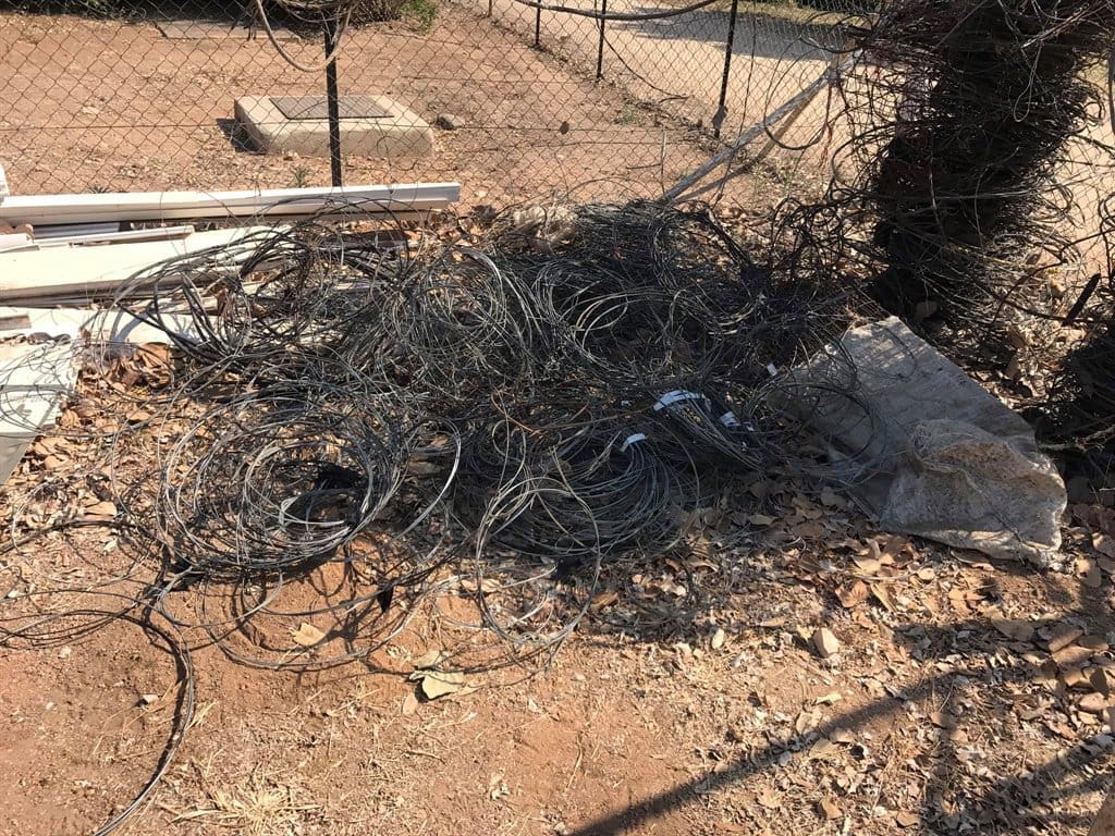 Snare Poaching Increasing In Kruger National Park