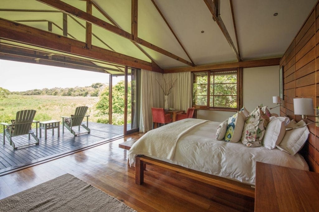 5 Top South African Safari's Outside of Kruger
