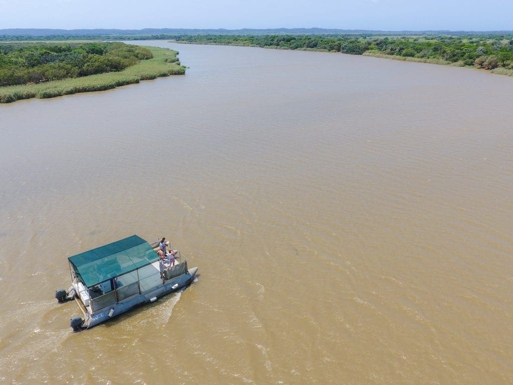 Boat trip on the St Lucia Lake and Estuary