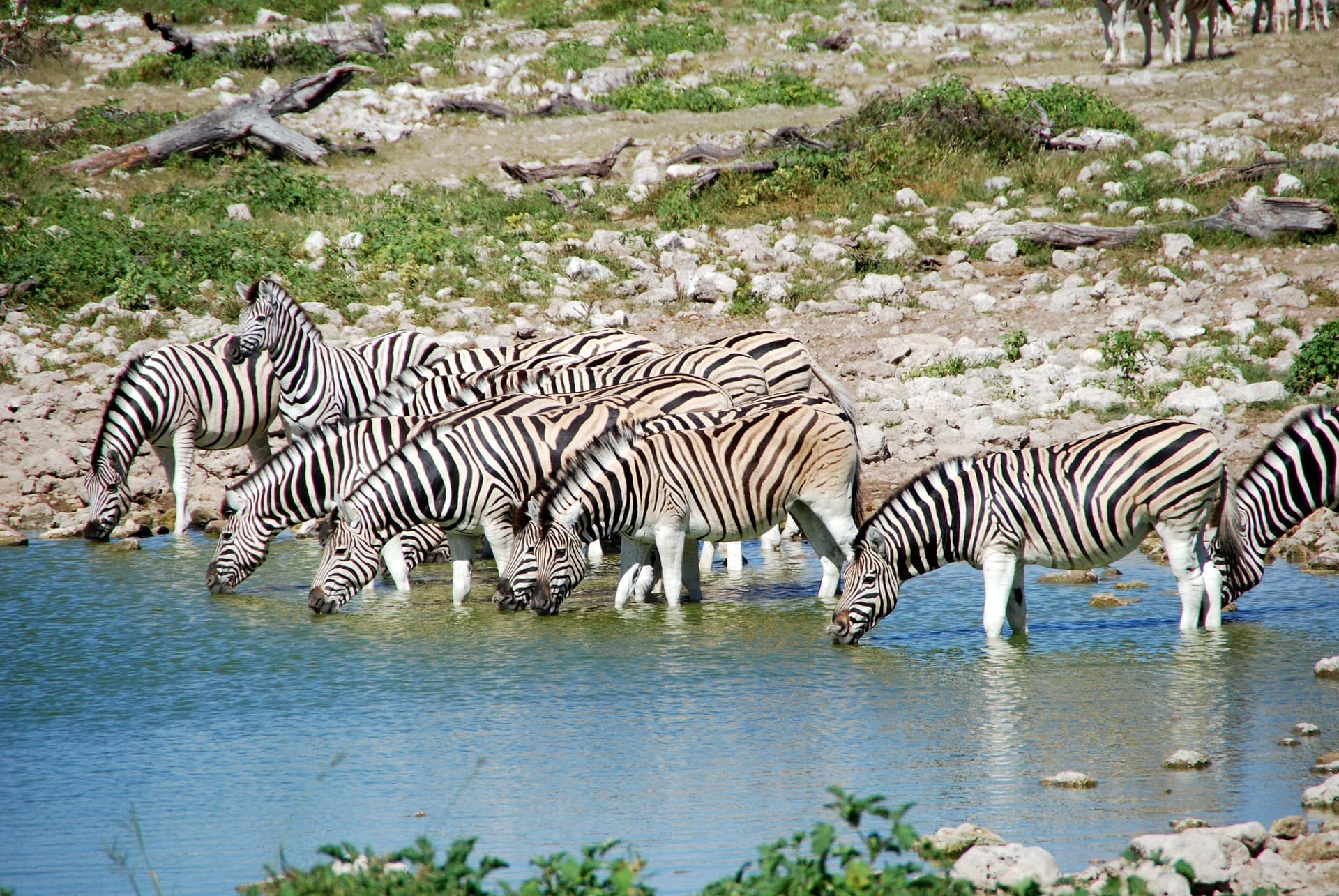 Top 10 Self-Drive Safari Destinations In Southern Africa