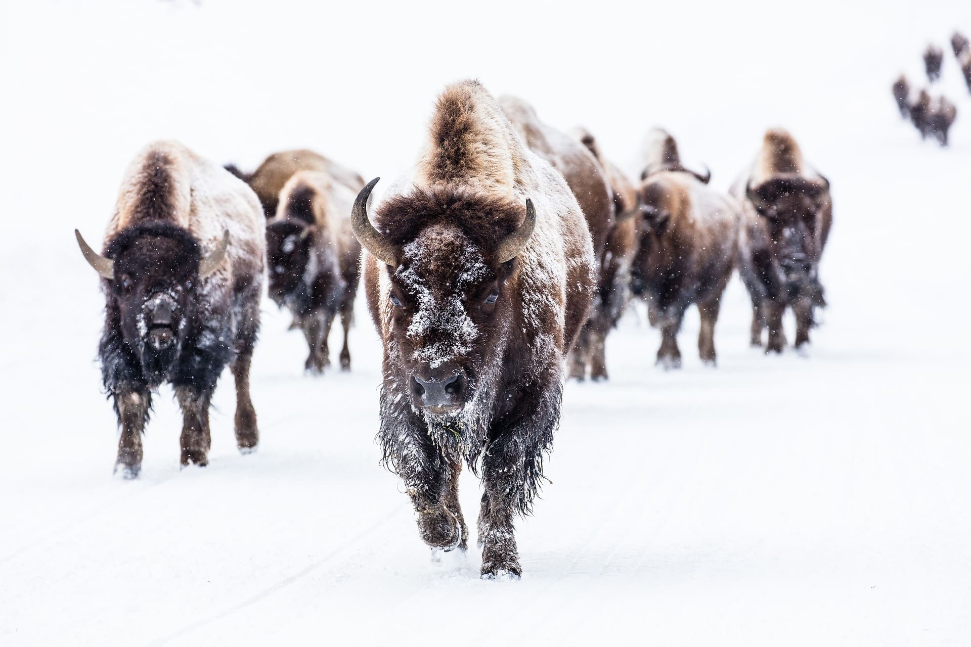 The 14 Wildest Places In Europe