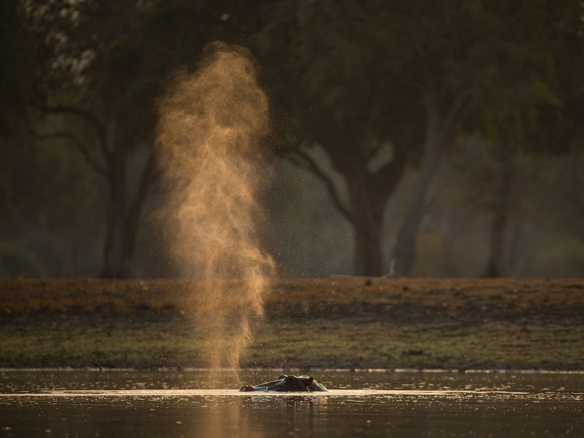 the top safari destinations in south africa