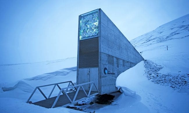 11 Reasons To Visit Svalbard