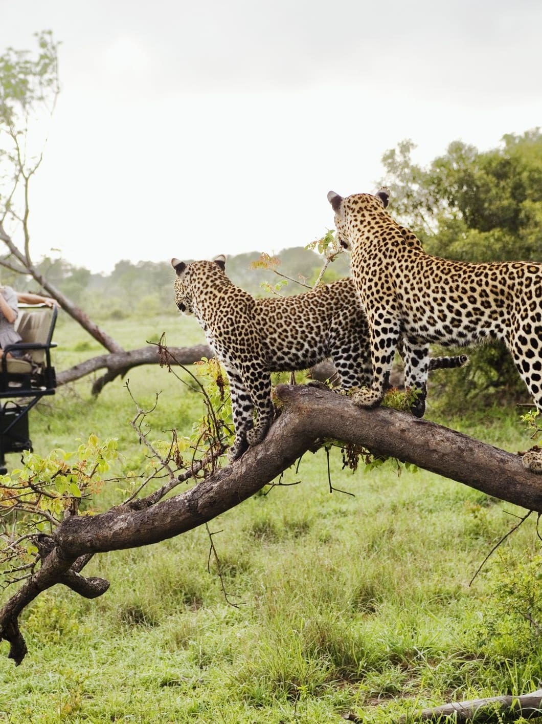 where to stay in kruger national park