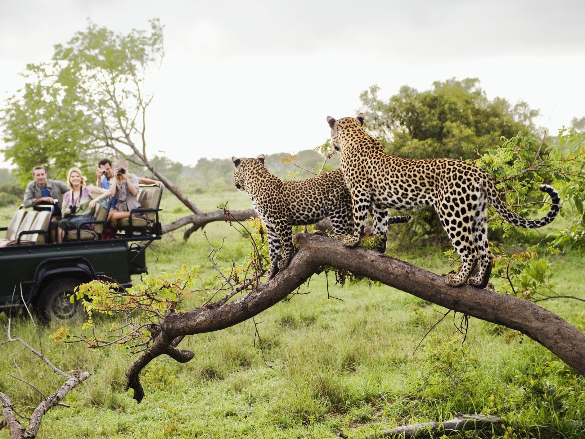 where to stay in kruger national park