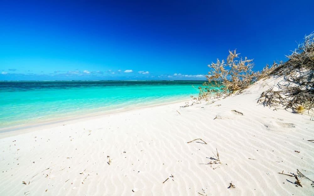 https://www.nationalparks.nsw.gov.au/visit-a-park/parks/moonee-beach-nature-reserve