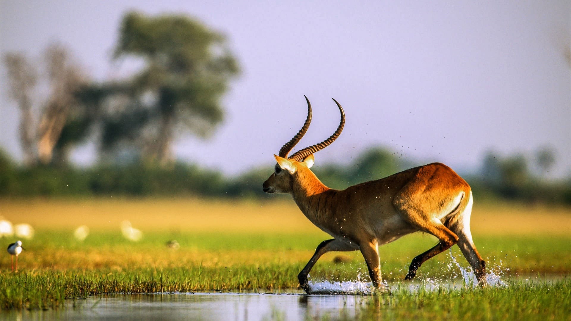10 Remarkable Places To Visit In Botswana