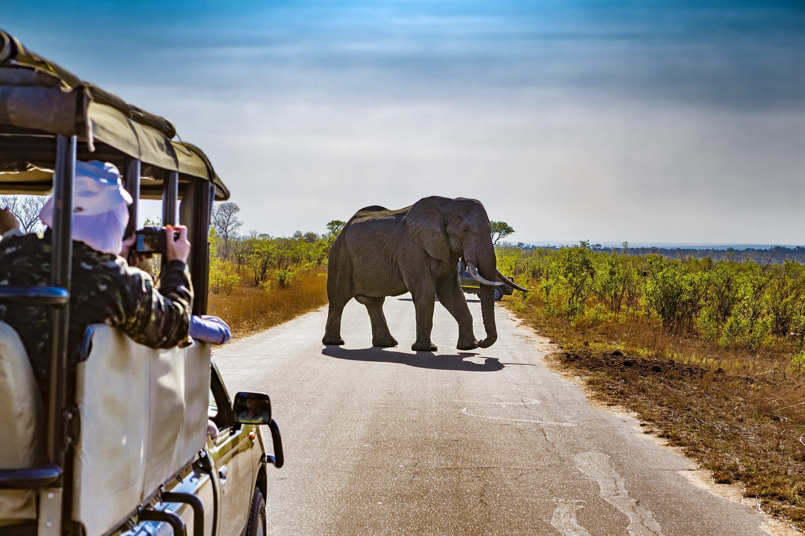 The best national parks in Southern Africa