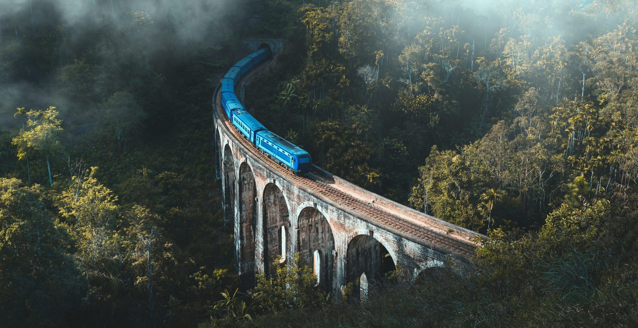 12 epic things to do in Sri Lanka