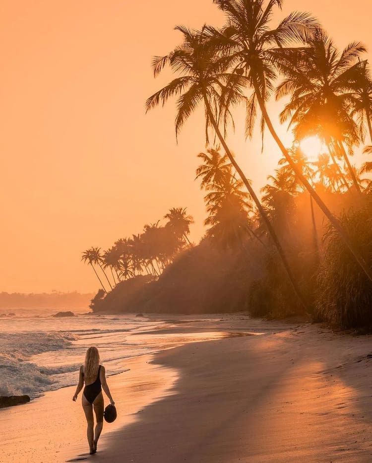 The best time of year to visit Sri Lanka