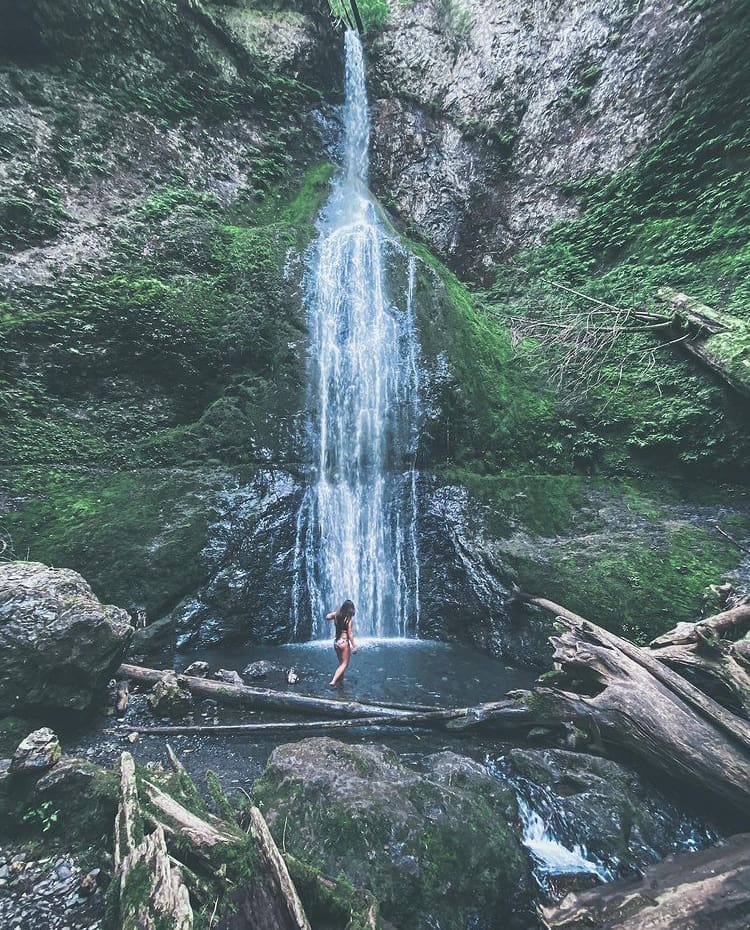 One of the many waterfalls on the Olympic Peninsula Loop