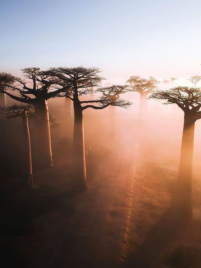 The top national parks of madagascar