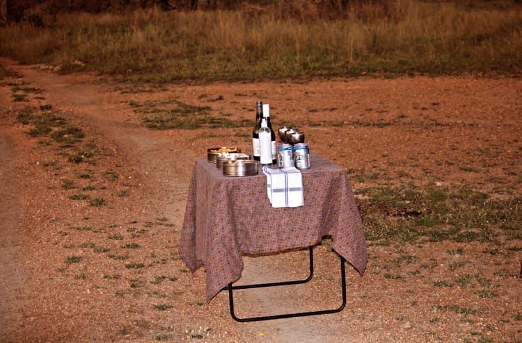 Safari snacks