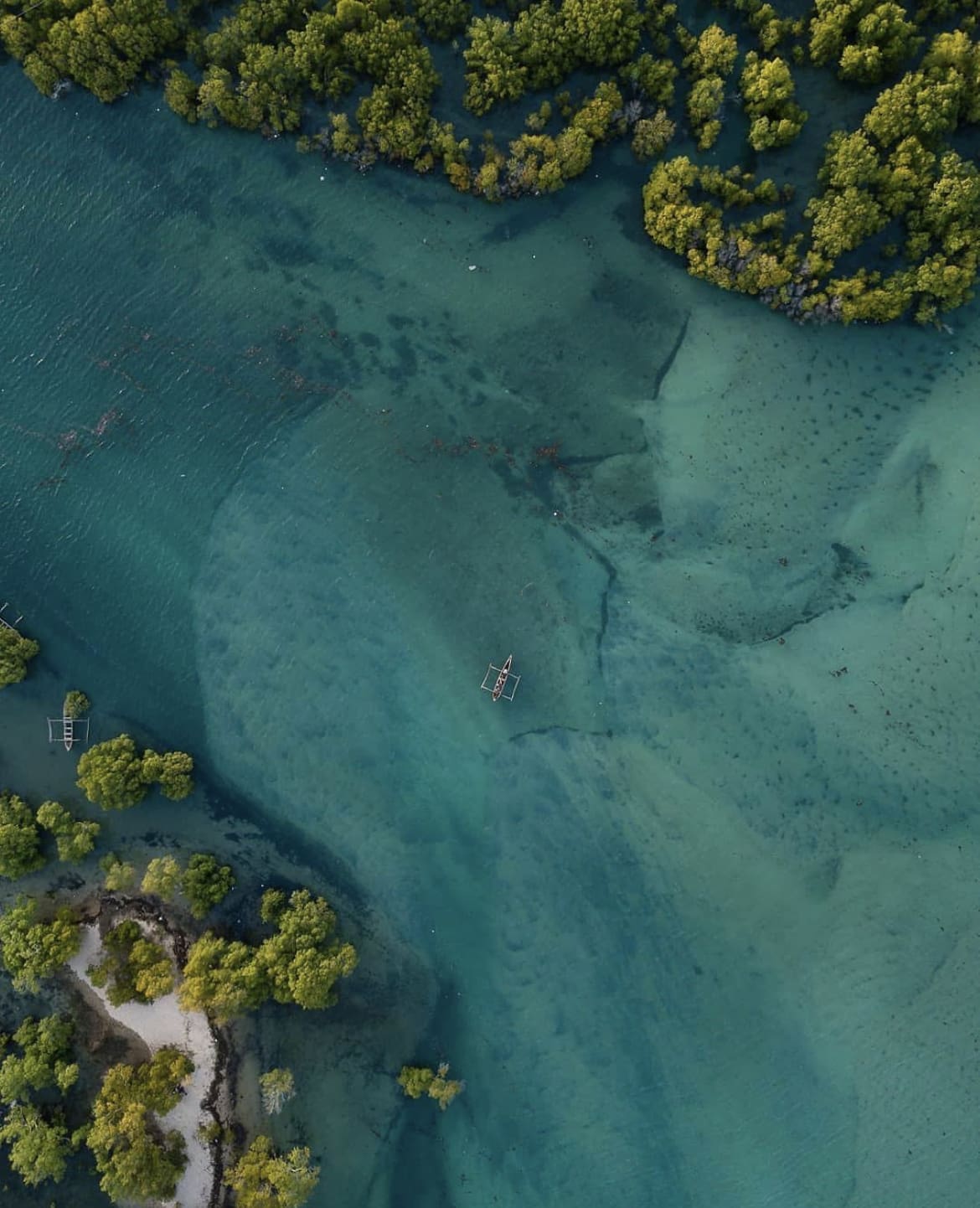 Picturesque views over the Kongo River in Diani