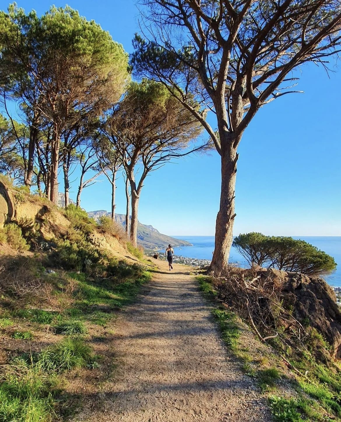 The incredible view from Pipe Track, Camps Bay
