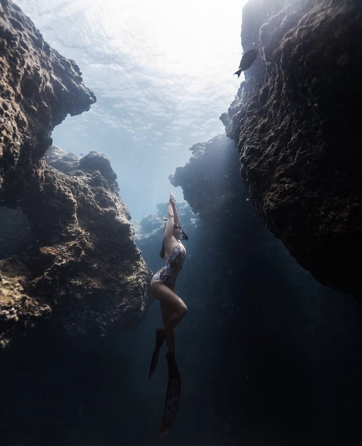 Diving in Shark's Cove, North Shore