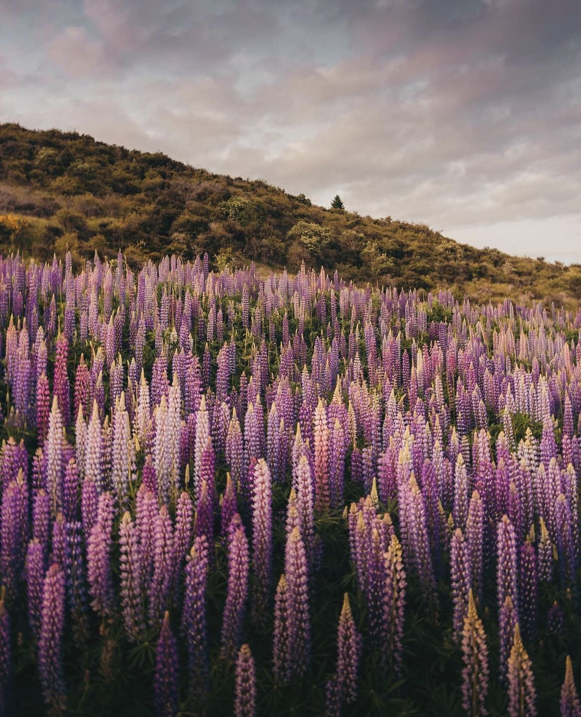 The best things to do in New Zealand