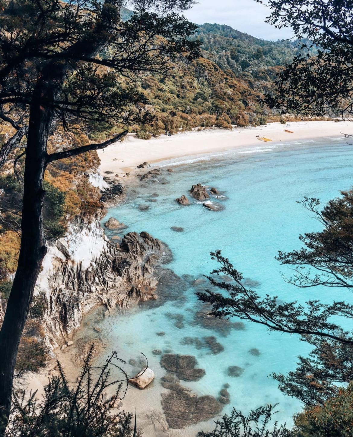 Camping in Abel Tasman National Park