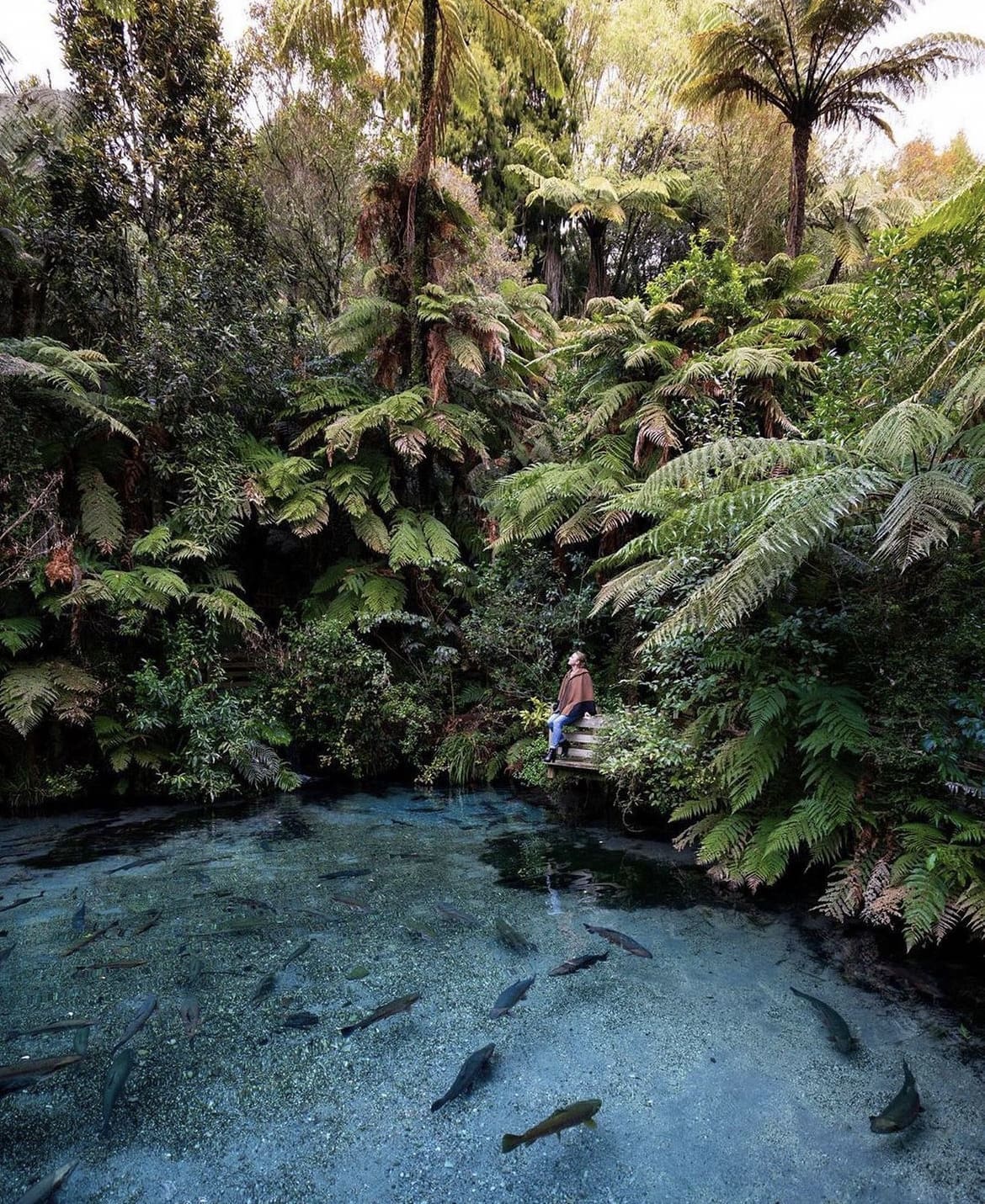 Rotorua, New Zealand