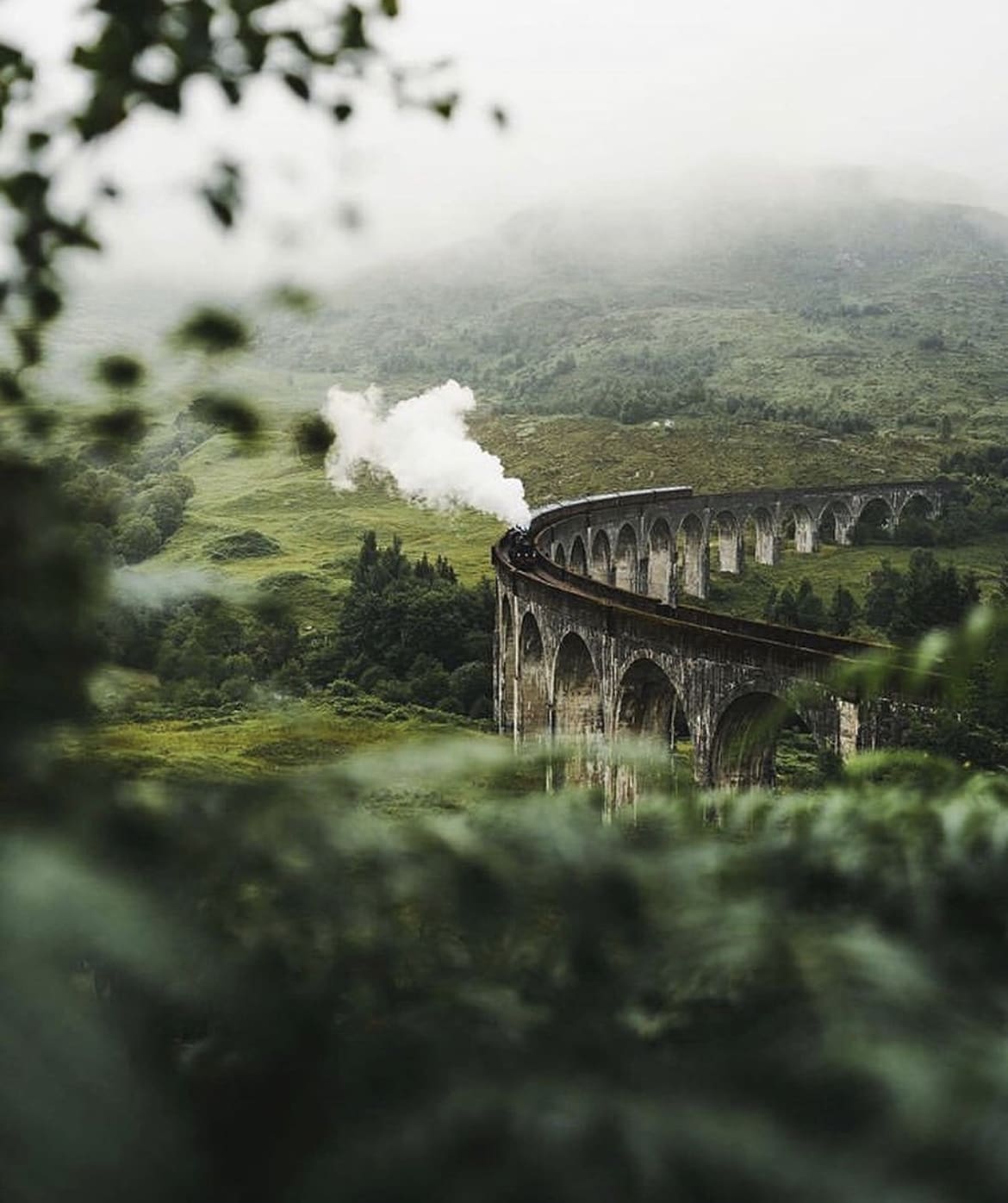 The Hogwarts Express