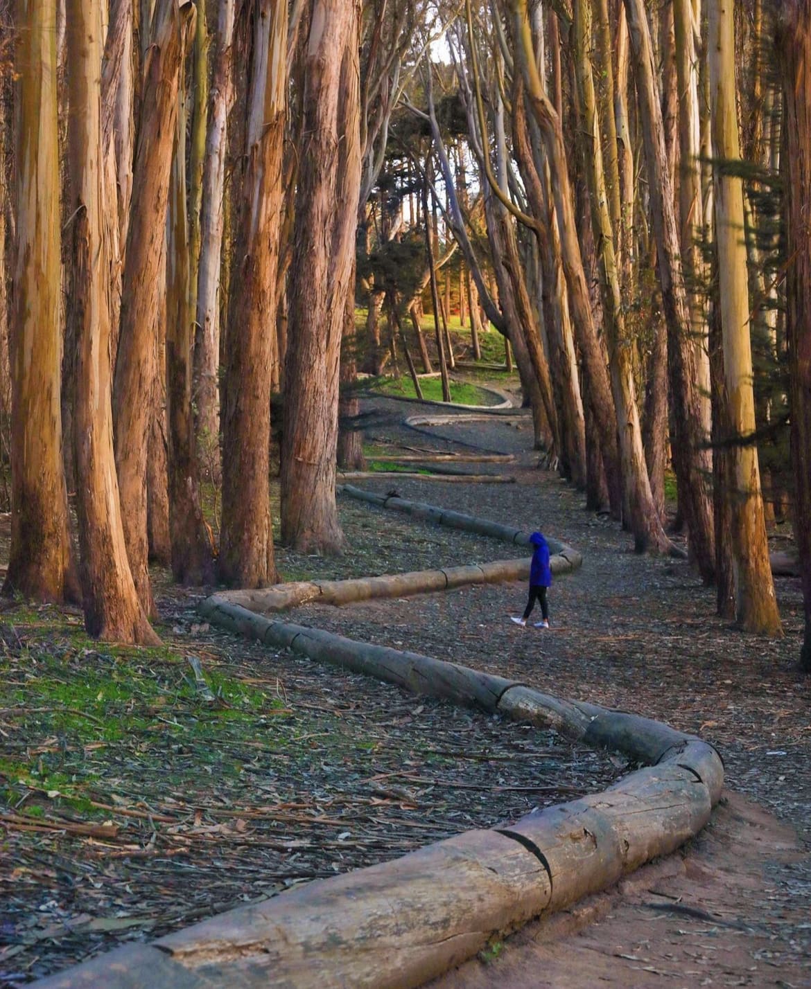 Presidio National Park