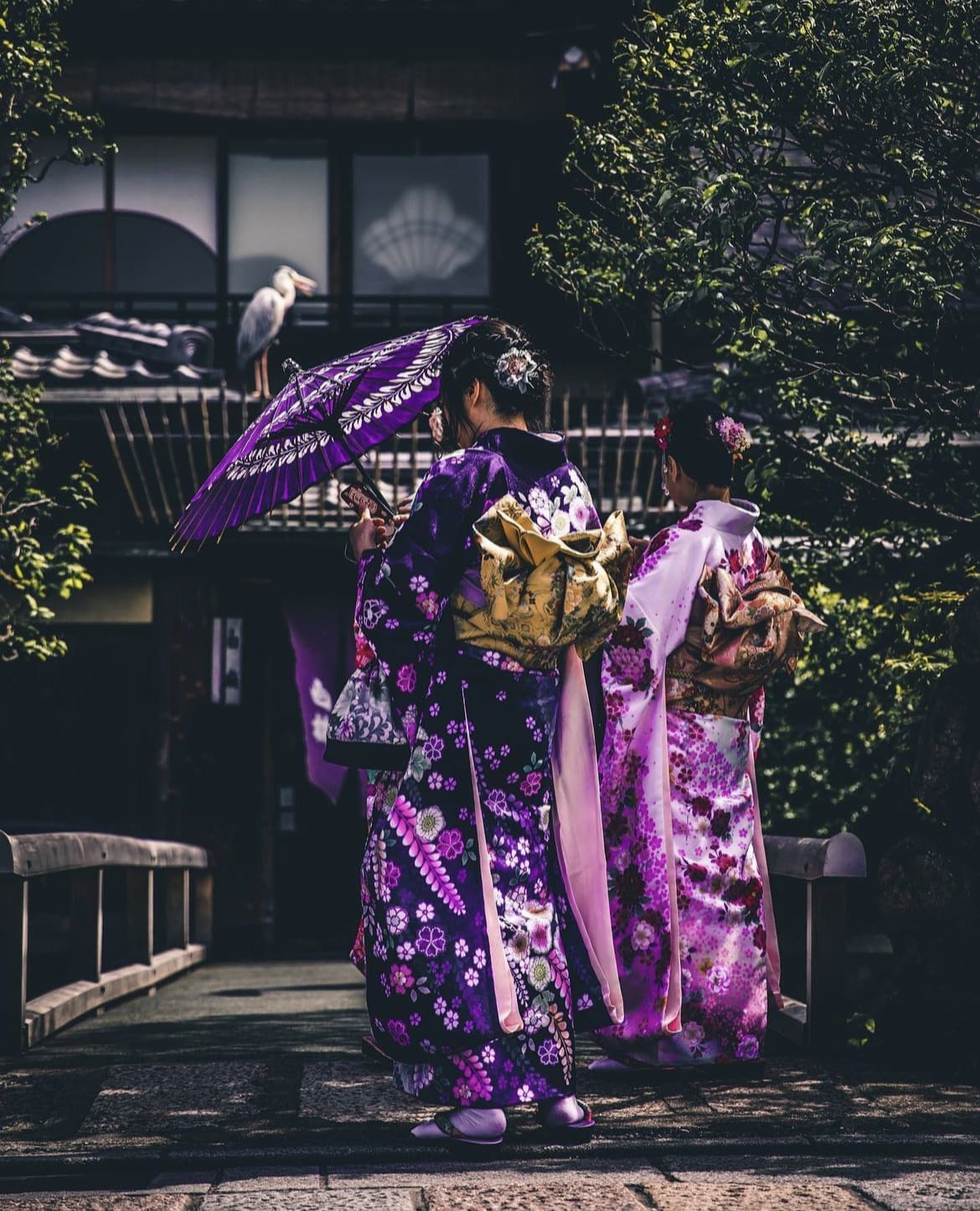 Lavender Geisha