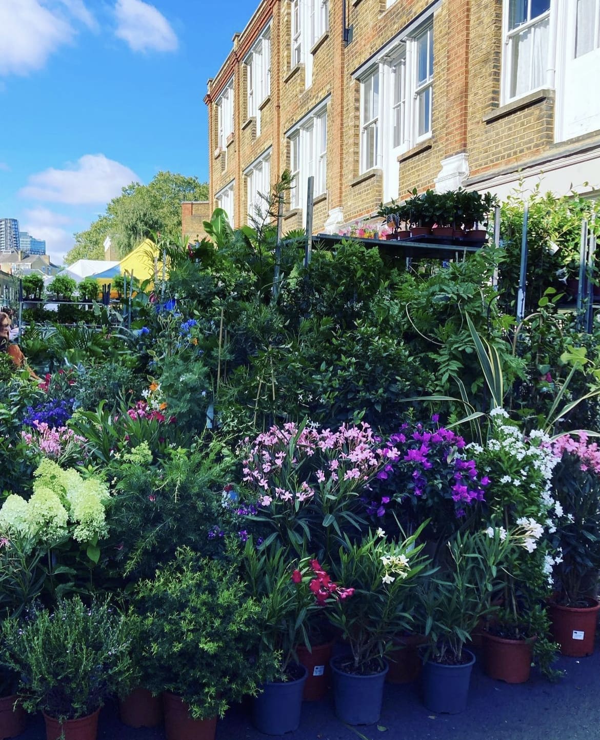 Columbia Road Flower Market