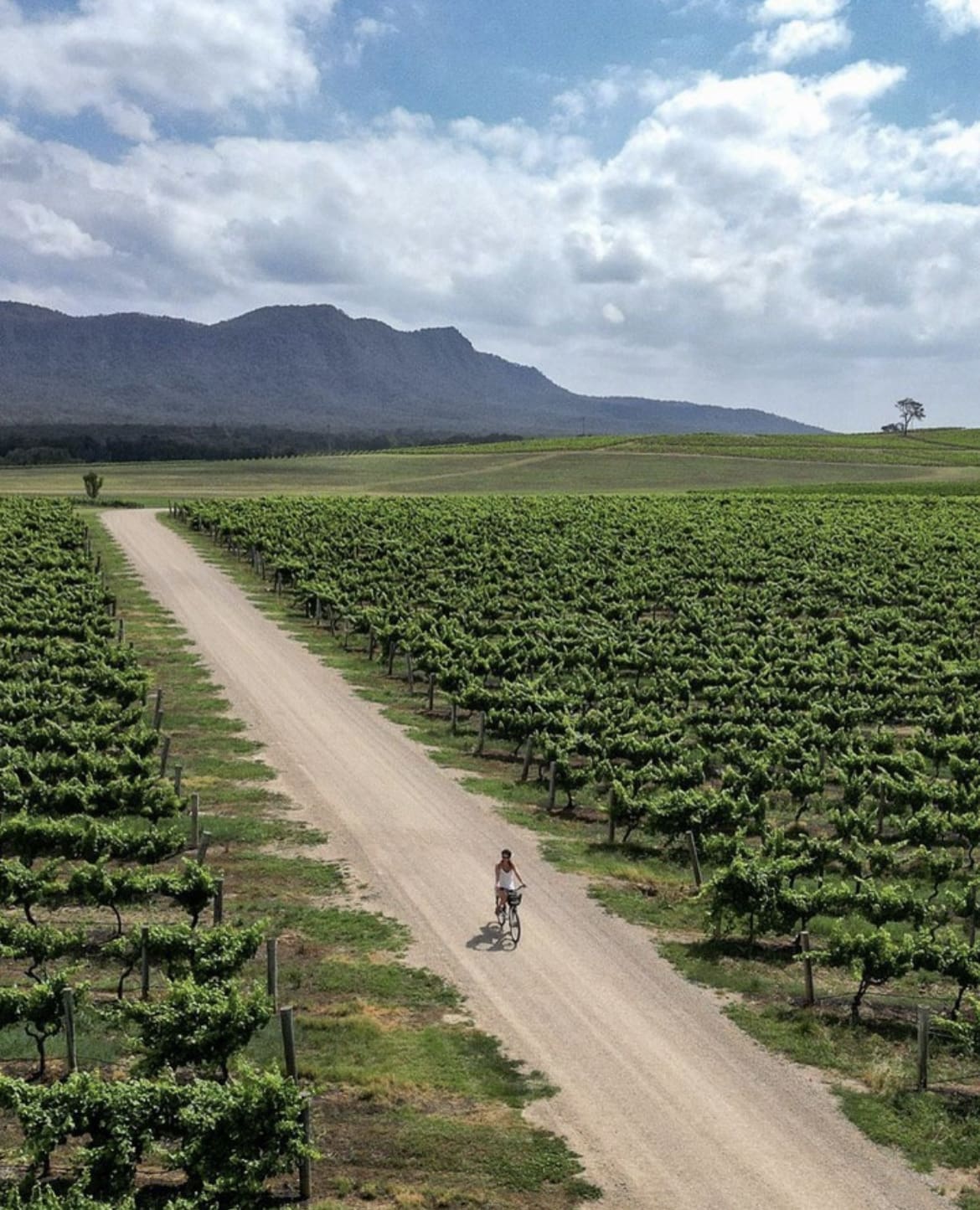 Hunter Valley - Wine Regions of Australia: The Best Vineyards and Tastings