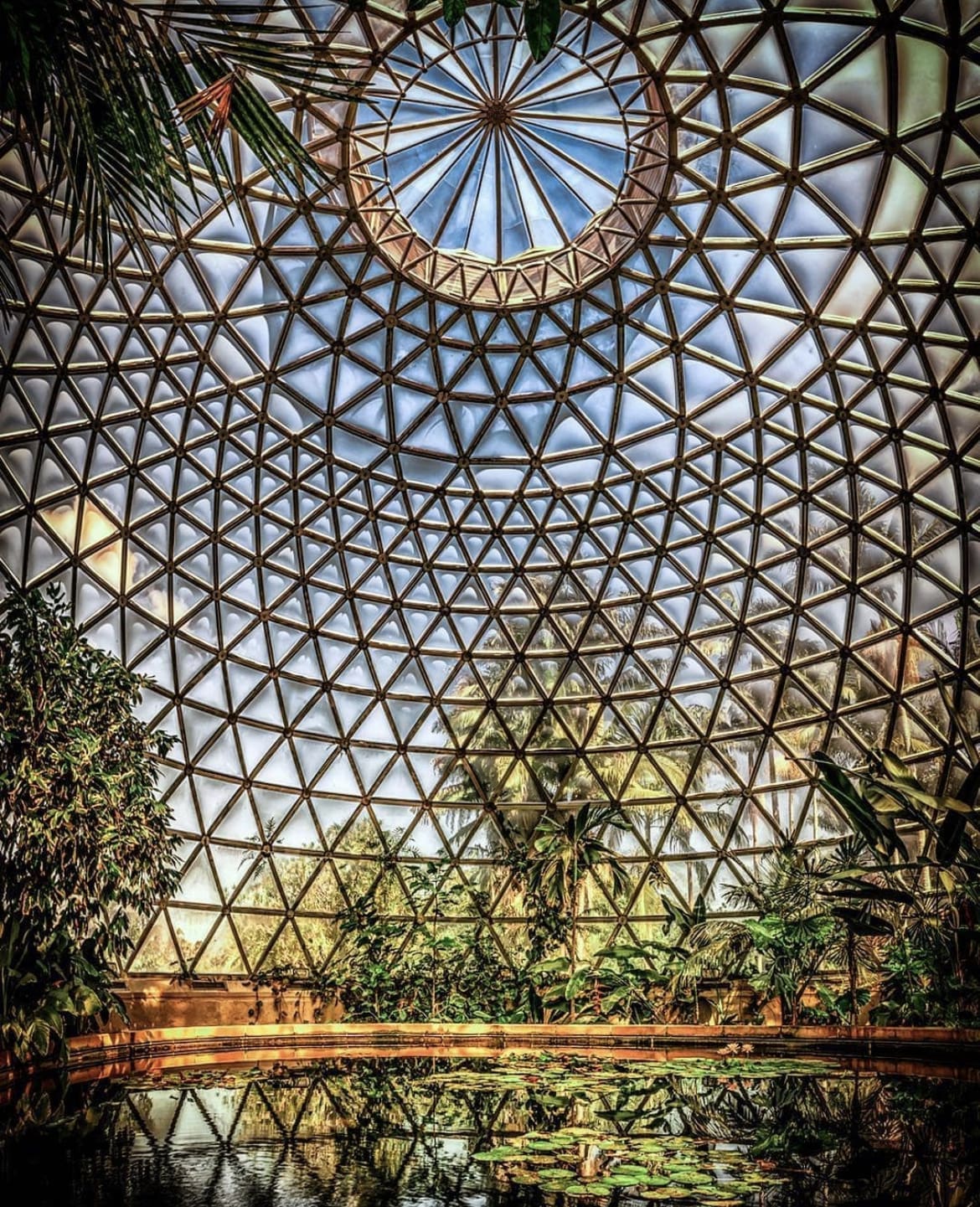 Brisbane City Botanic Gardens - The 15 Best Things To Do in Brisbane, Australia