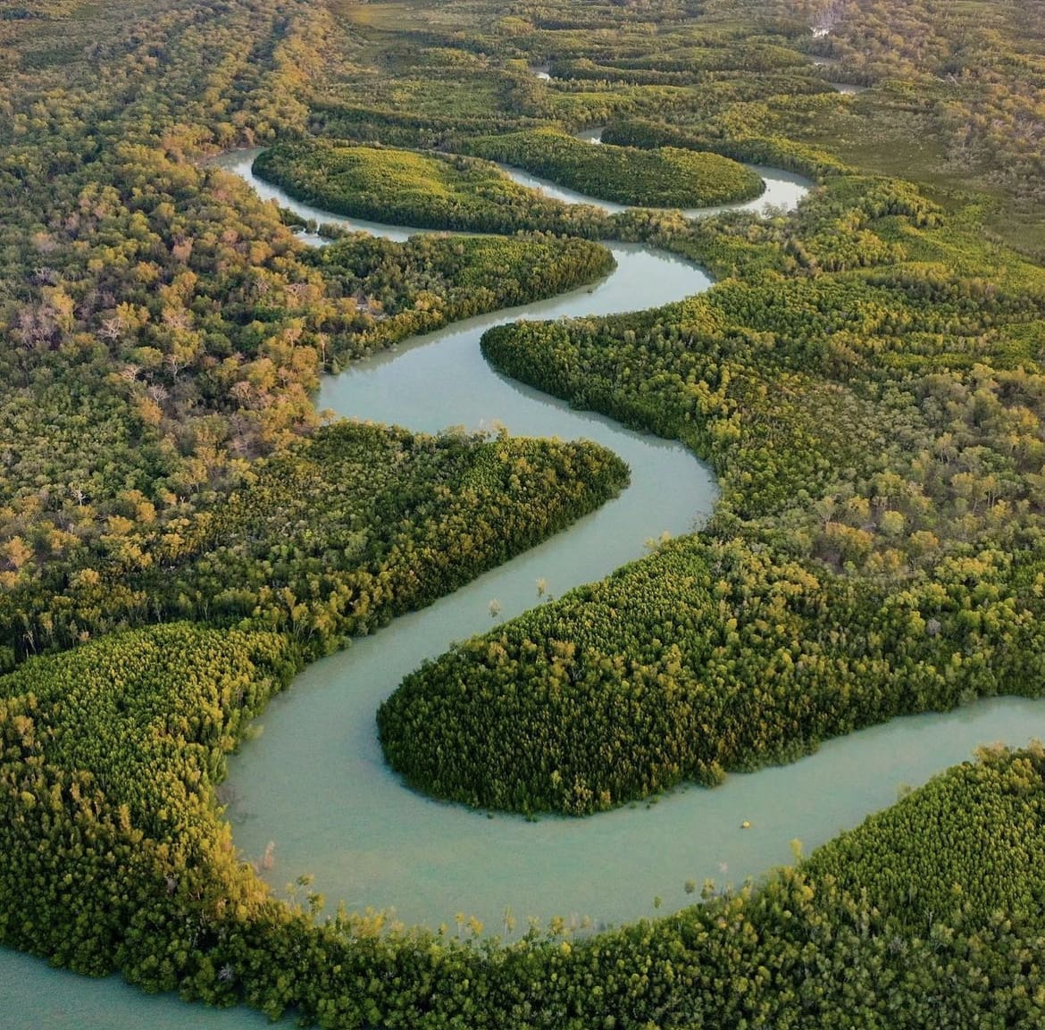 Tiwi Islands - The 20 Best Things To Do In The Northern Territory