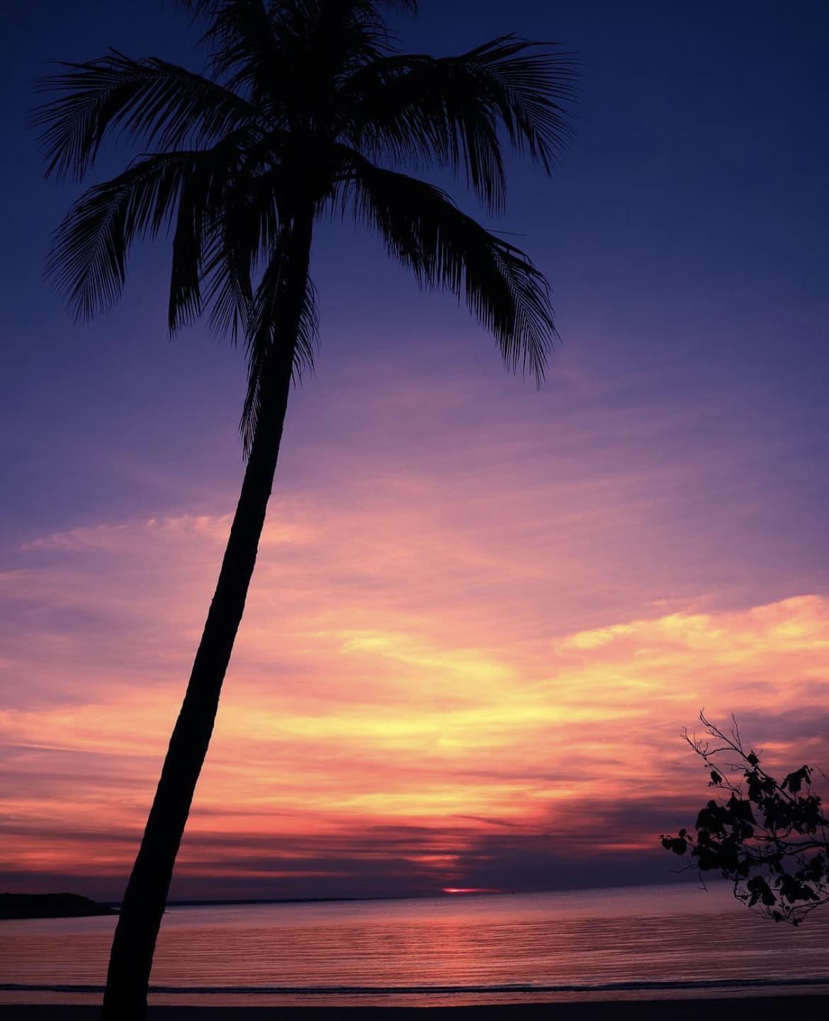 Mindil Beach Sunset Market