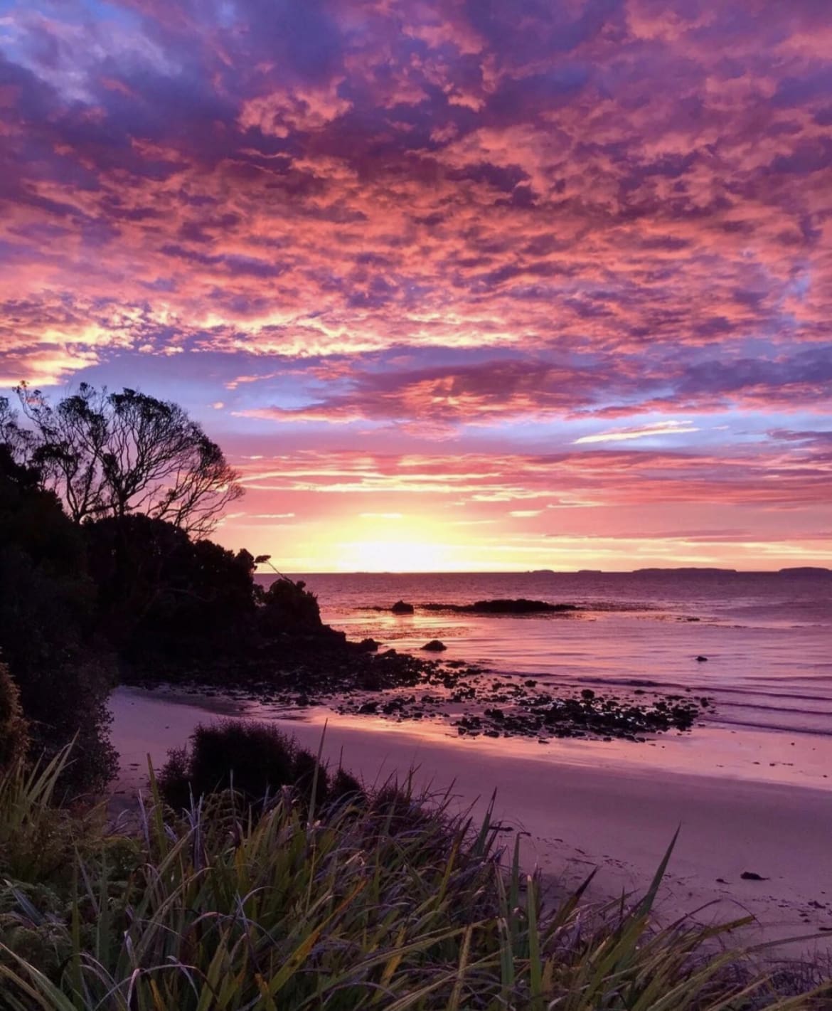 Stewart Island - 12 Awesome Islands in New Zealand