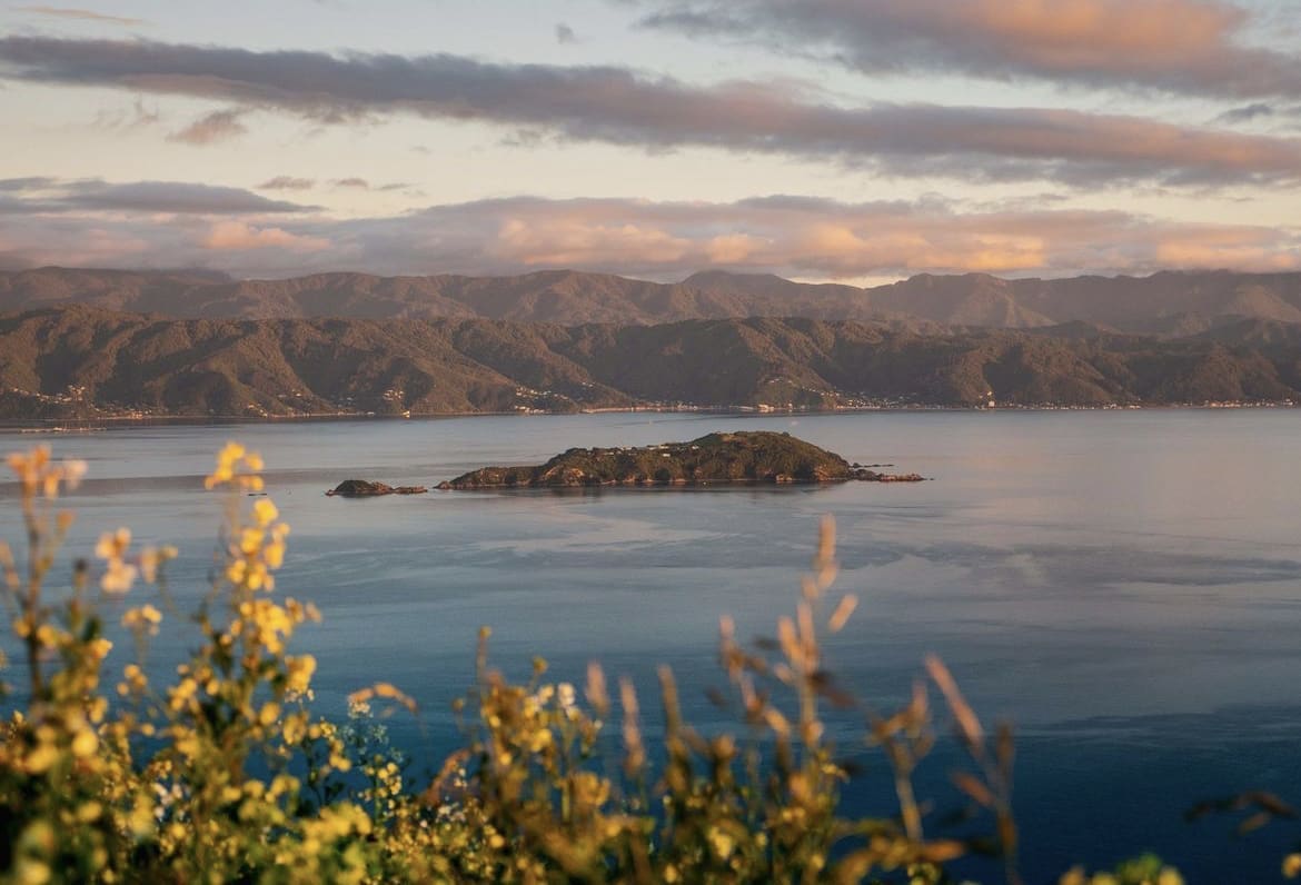 Somes Island