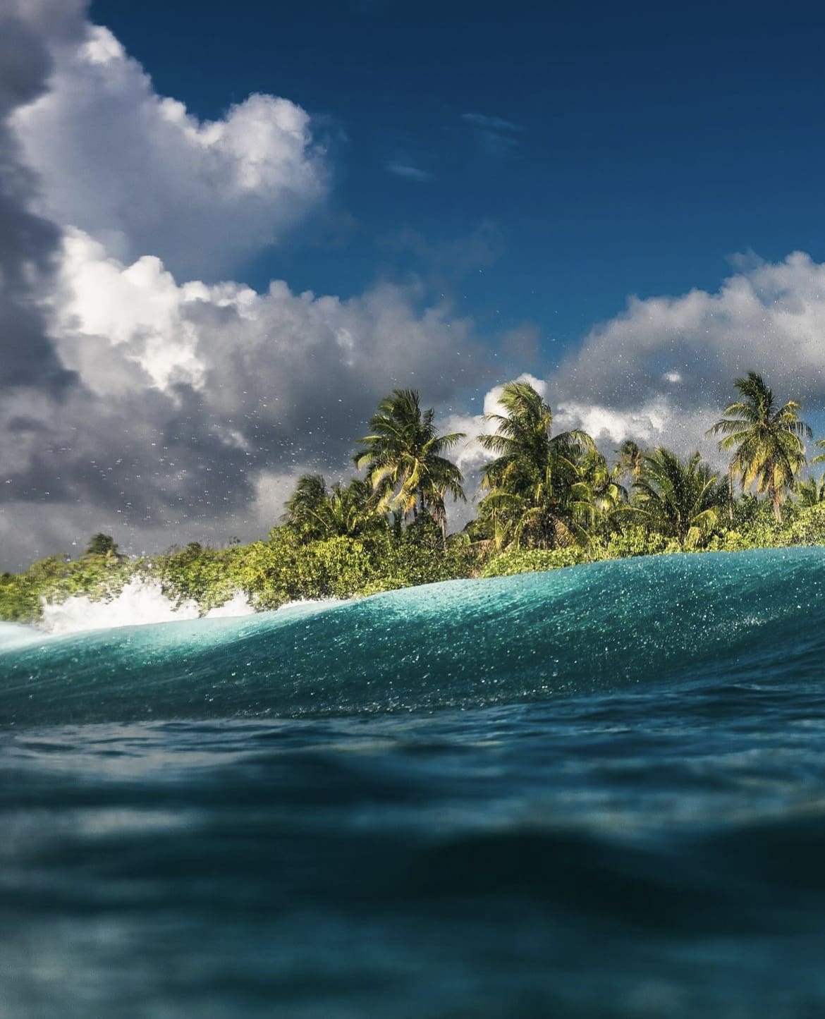 Surfing in Moorea