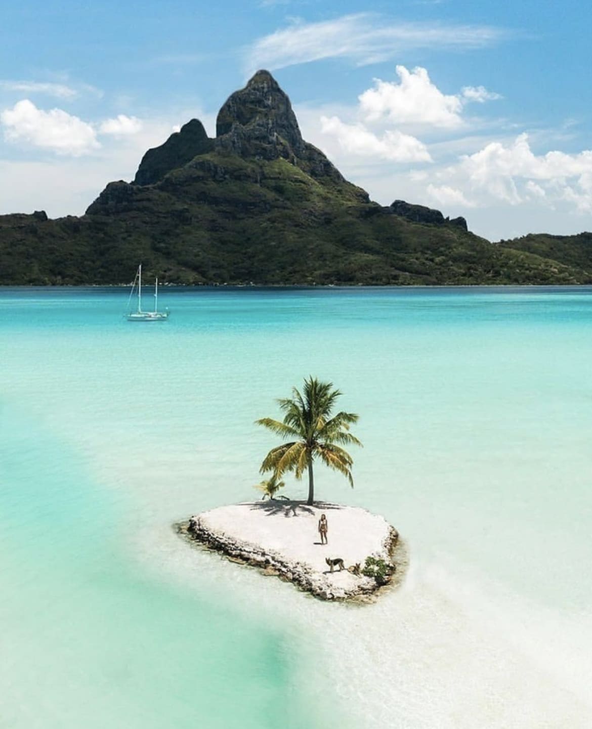 Tiny Island