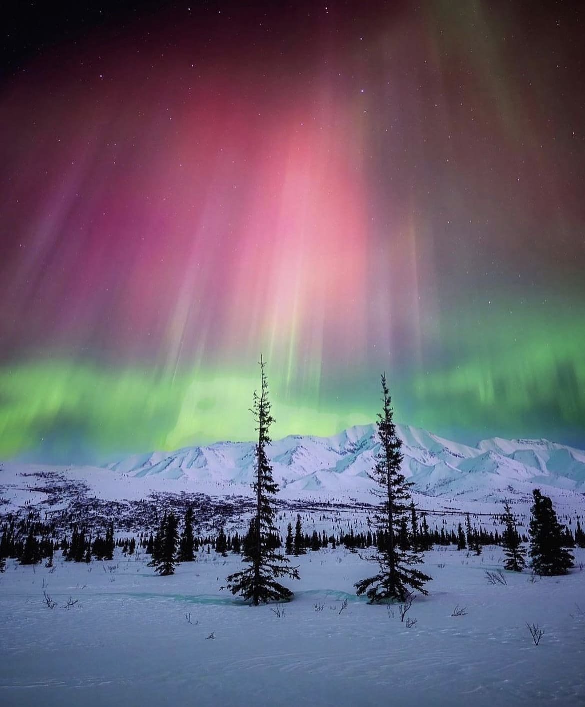 Northern lights