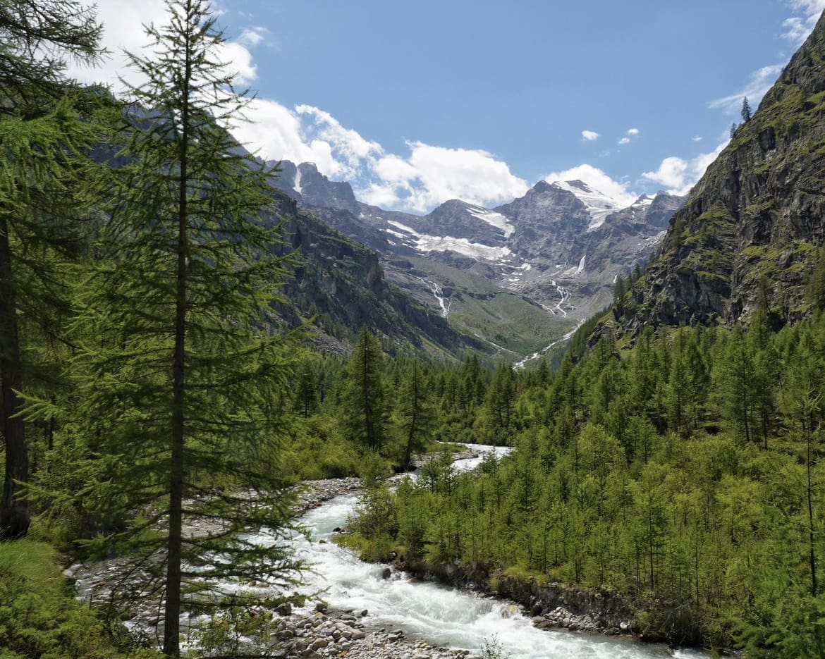 Greenery, Gran Paradiso