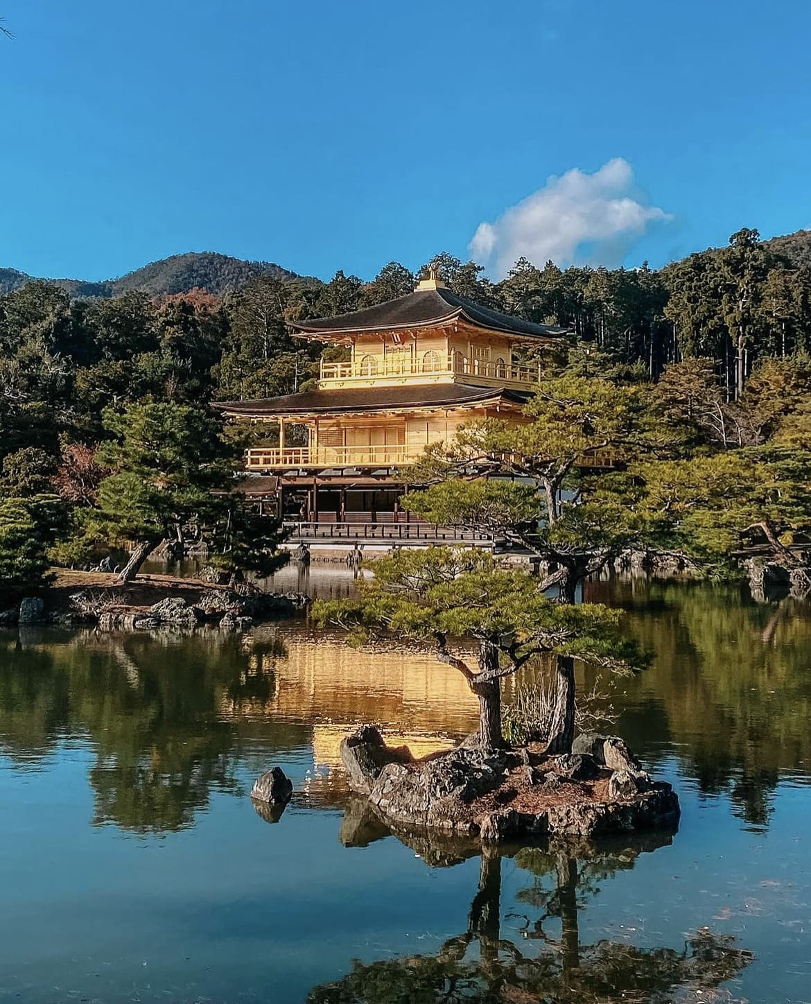 The Best Time To Visit Tokyo