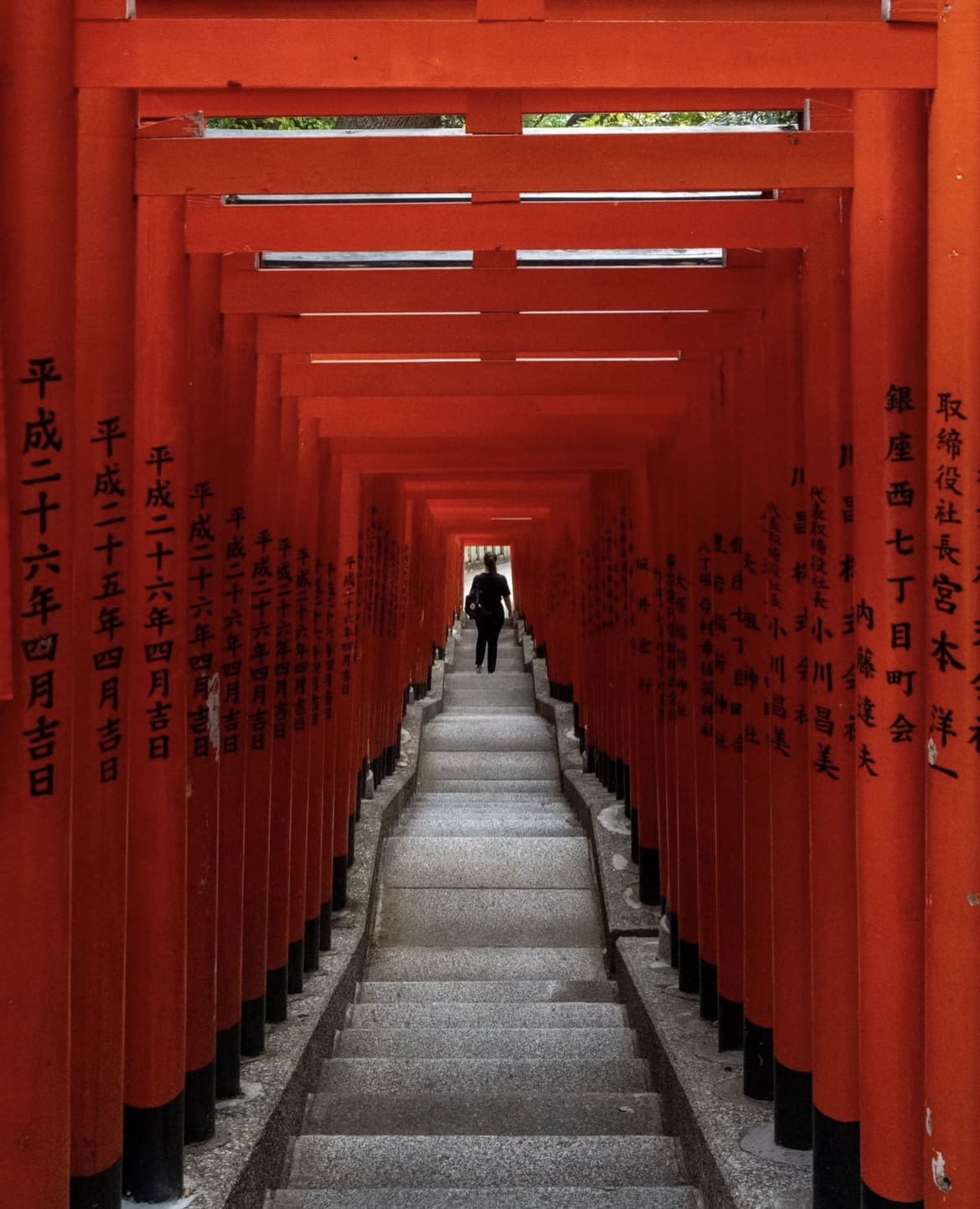 The Best Time To Visit Tokyo