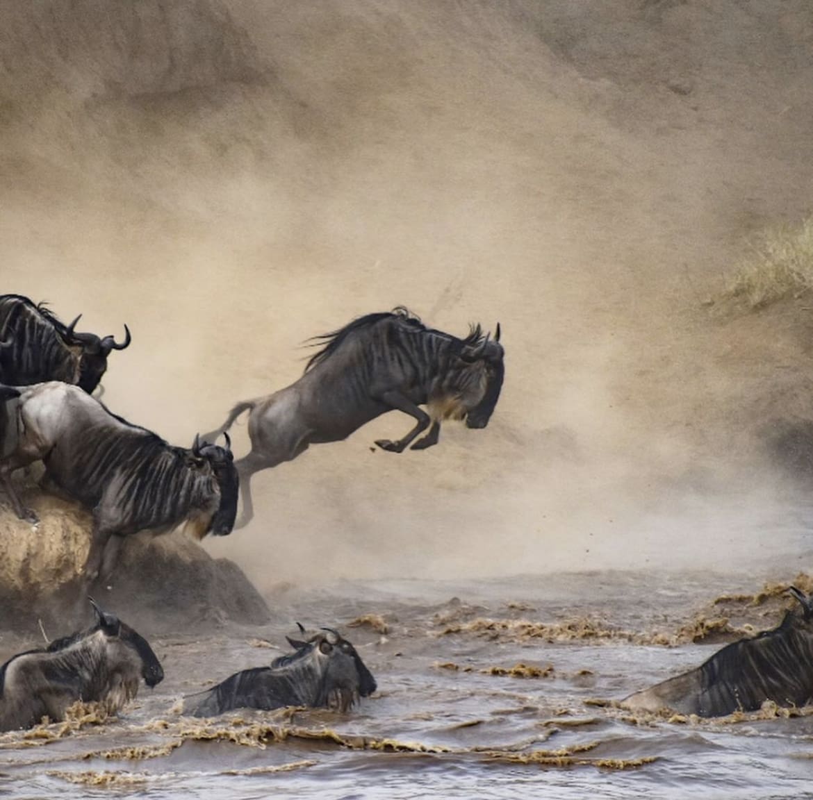 The great migration