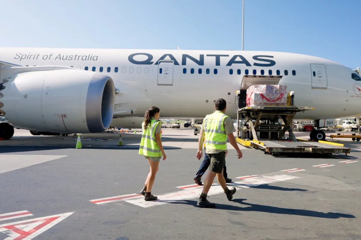 Edie the cheetah in transit between Australia and South Africa