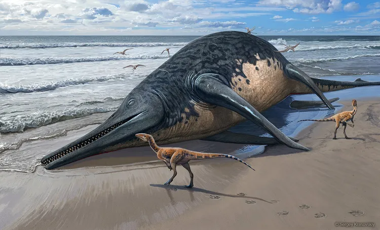 Potential 'Largest Reptile Ever' Discovered On Family Beach Day