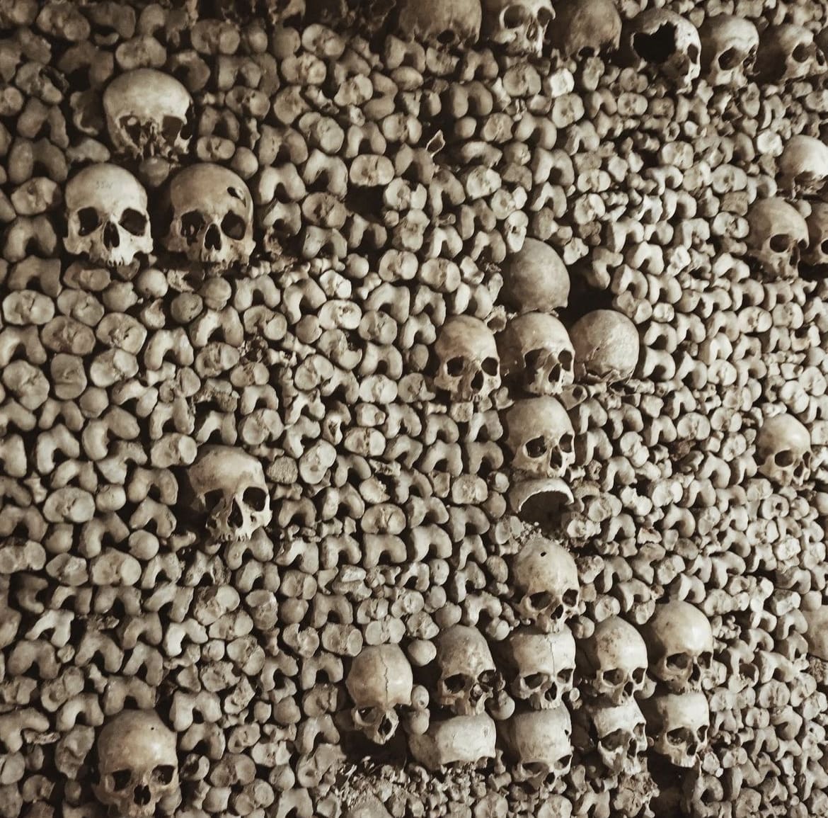 Explore the Catacombs of Paris
