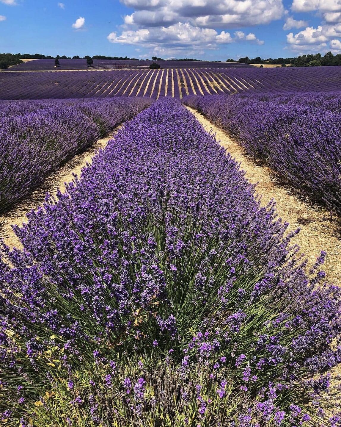 Banon, Provence