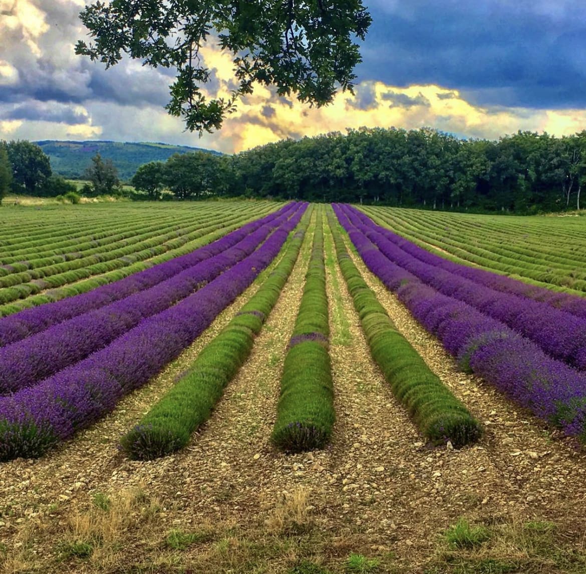 Domaine de Mourchon