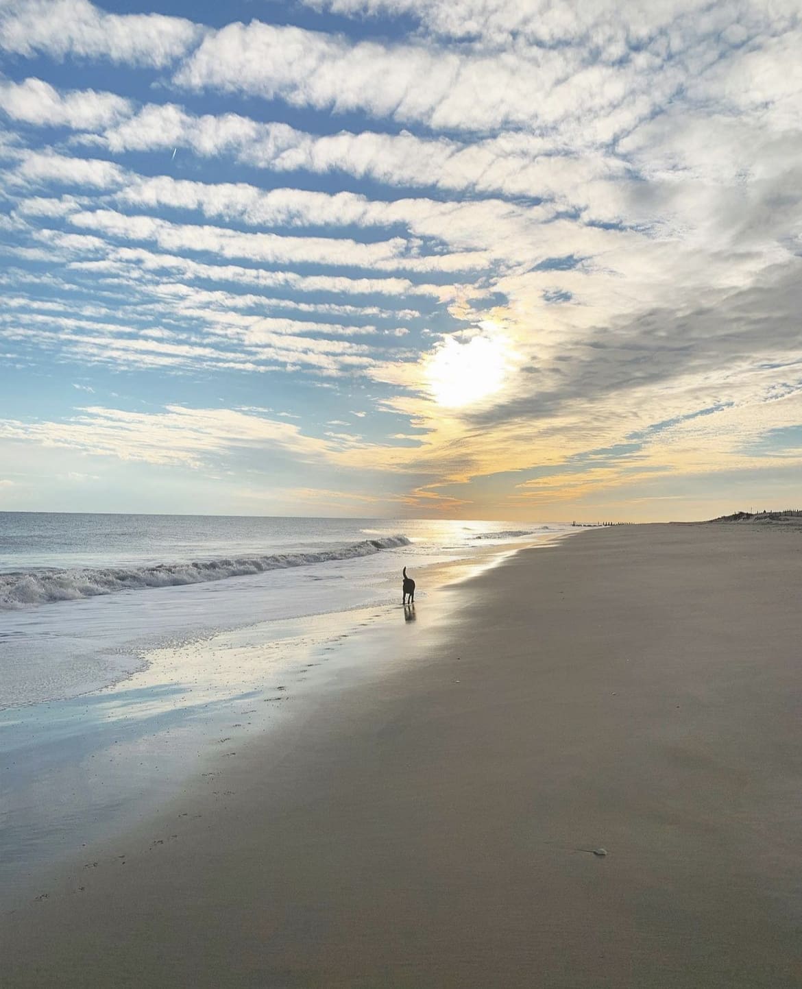 Cape May, New Jersey - 15 Nice Beaches In The US