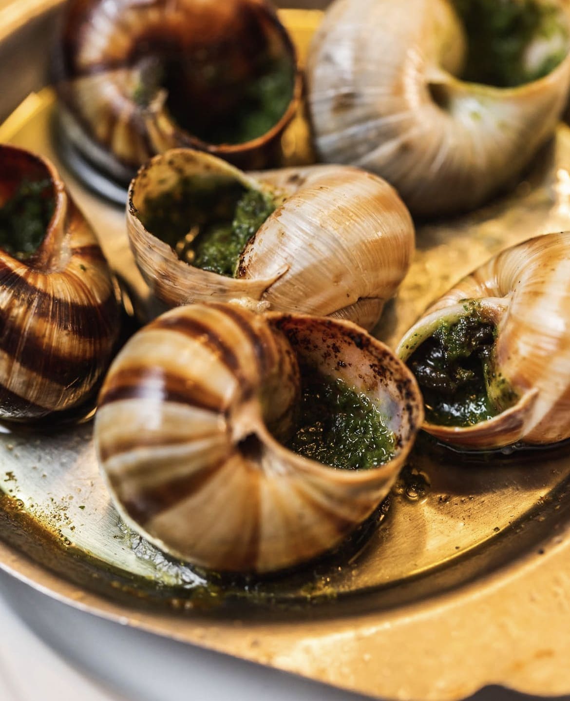 Escargot Persillade