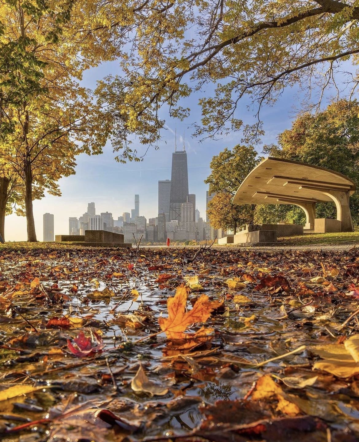 Autumn scenes in the Windy City