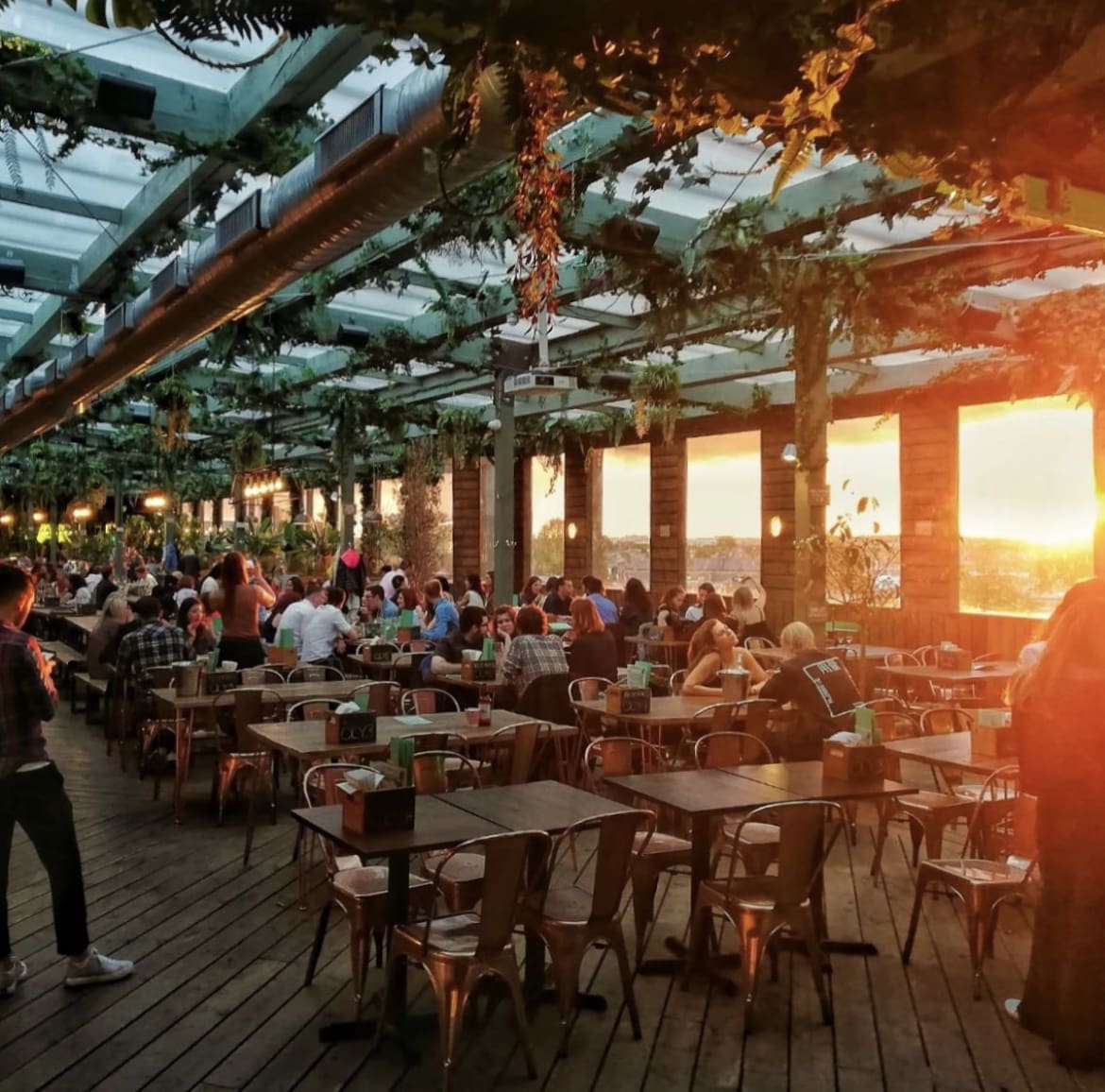 Pergola Paddington